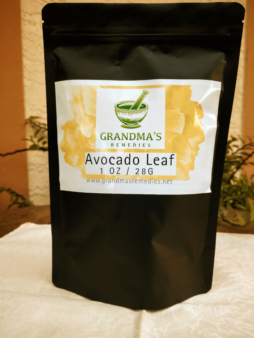 Avocado Leaf: The Sacred Leaf of Ancient Mexico